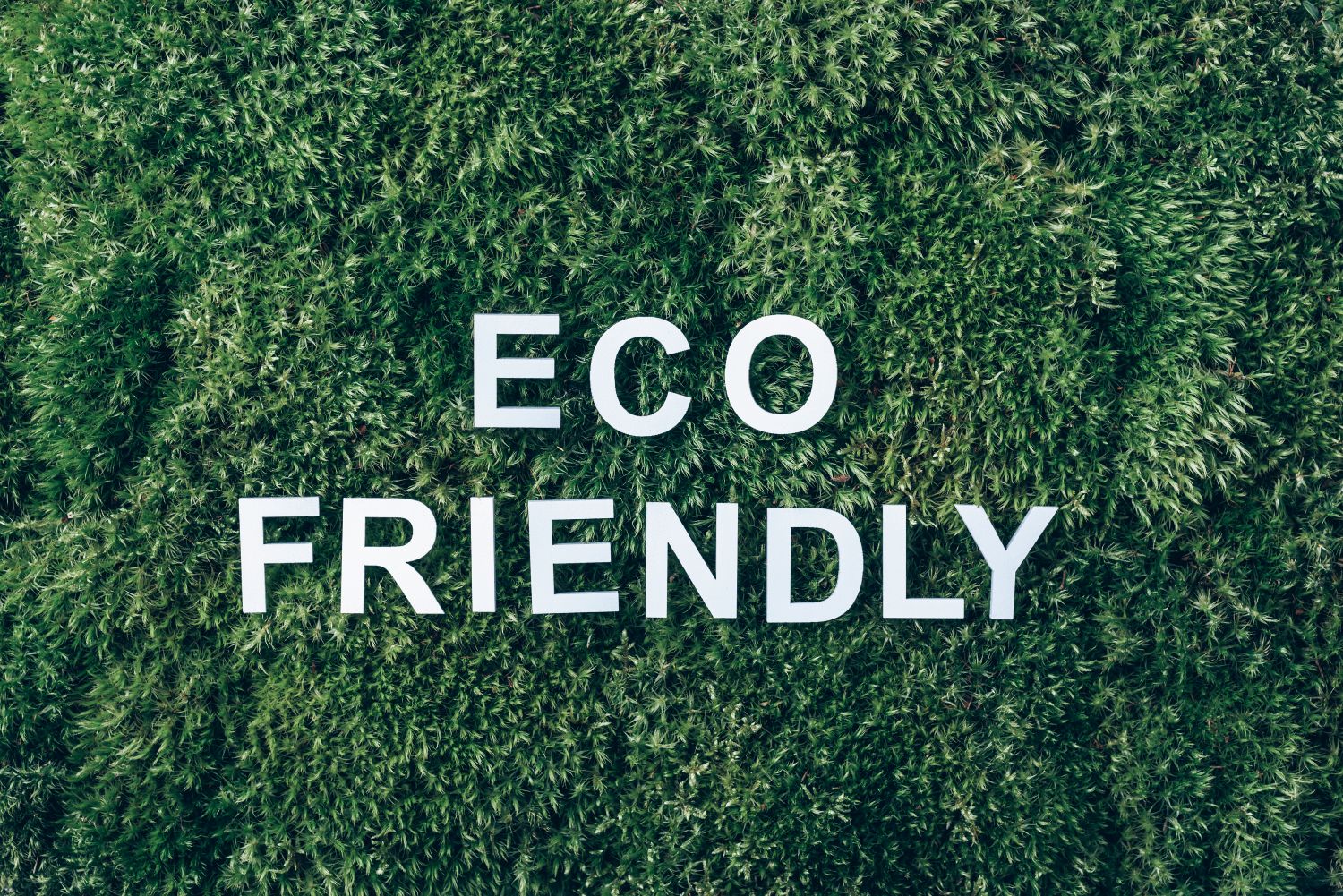eco-friendly premium products